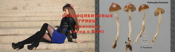 spice Надым