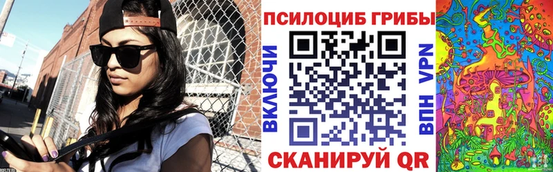 Купить где  Перевоз  Псилоцибиновые грибы MAGIC MUSHROOMS 